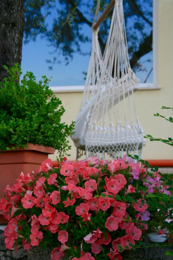 Globetrotter Bed and Breakfast Φόρμια Εξωτερικό φωτογραφία