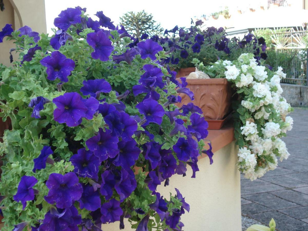 Globetrotter Bed and Breakfast Φόρμια Εξωτερικό φωτογραφία