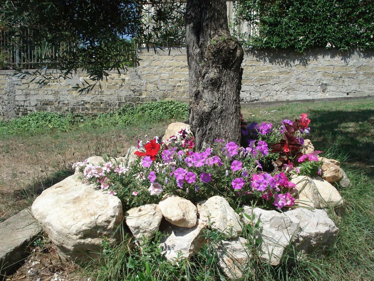 Globetrotter Bed and Breakfast Φόρμια Εξωτερικό φωτογραφία